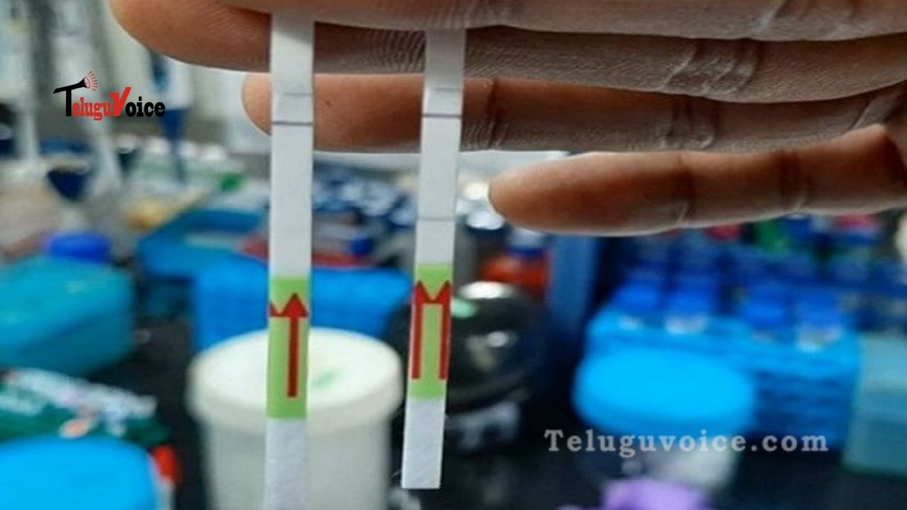 A “Game Changer” Paper-Strip Covid-19 Test, Can Give Result In An Hour teluguvoice