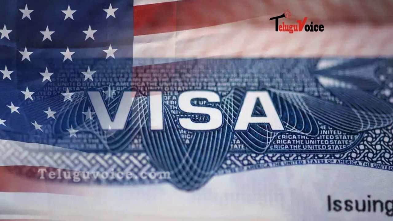 H-1B Visa Holders: No Option But To Come Back To India  teluguvoice