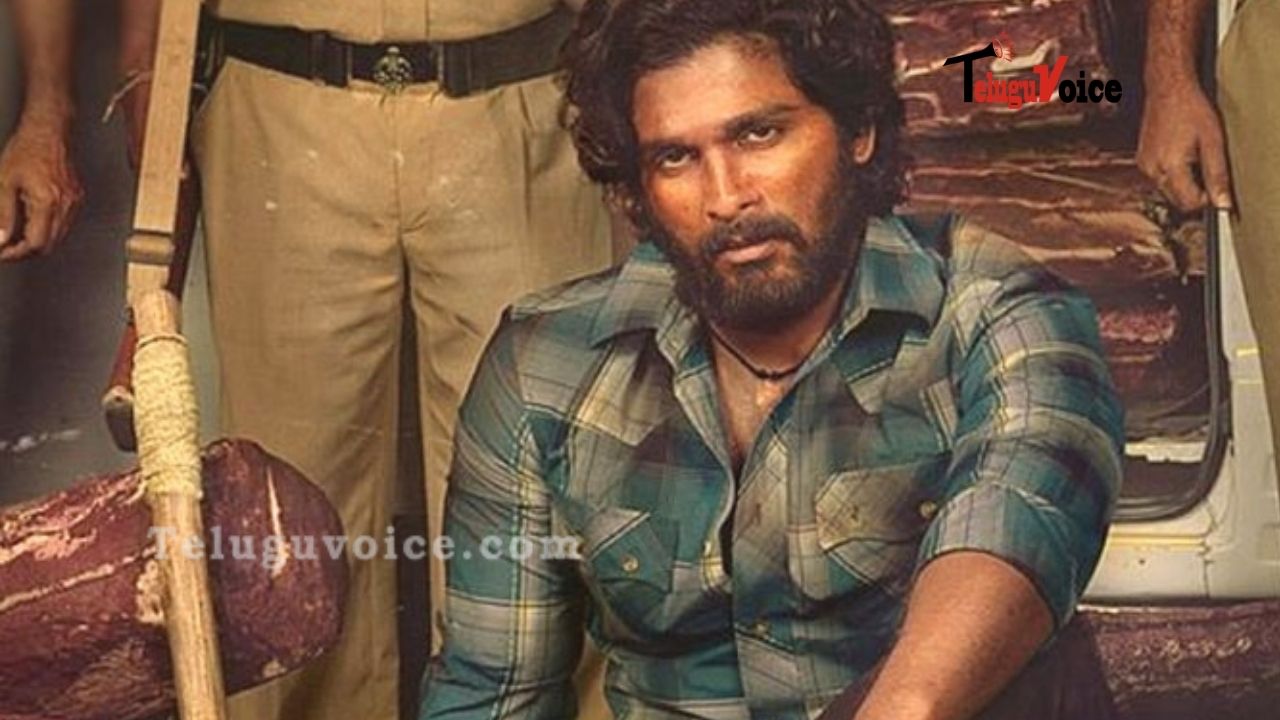 Pushpa Shooting In Vizag And East Godavari!