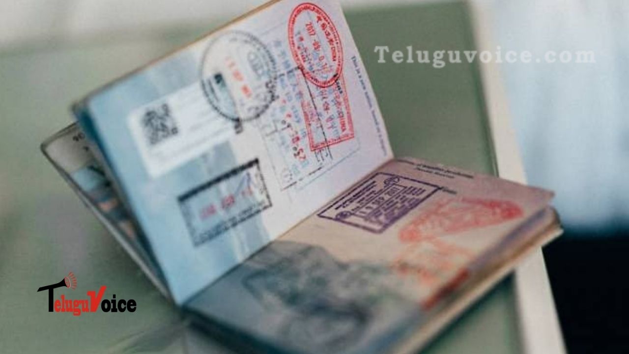 Microsoft, Amazon, Google Support A Lawsuit Against New H-1B Visa Rules teluguvoice