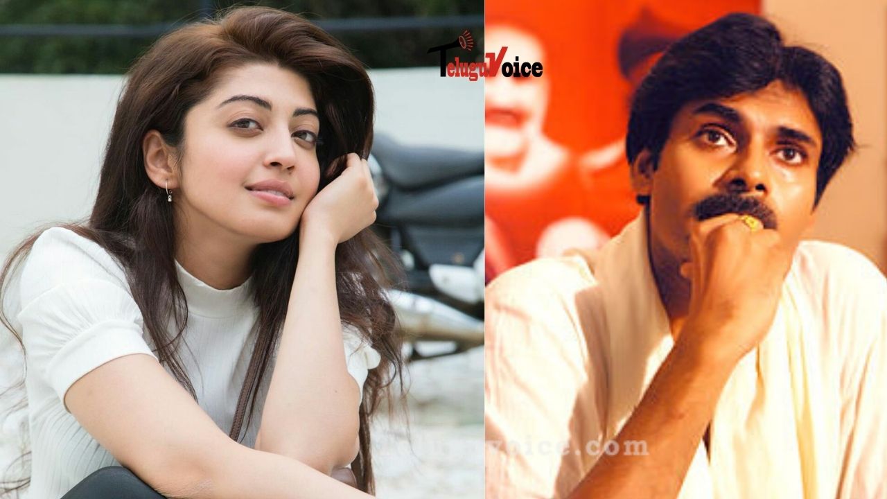 Pranitha In PK’s Film!