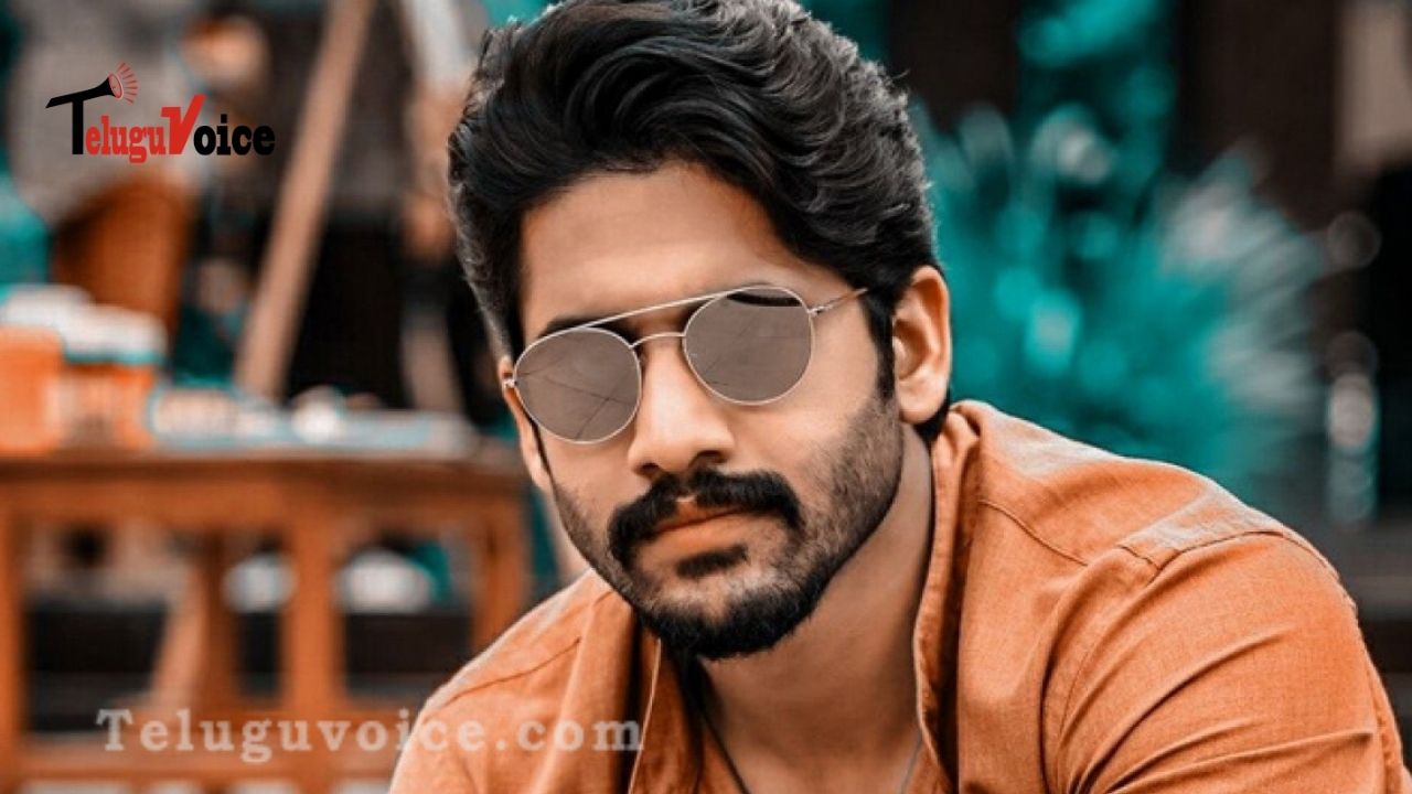Three Heroines For Naga Chaitanya!