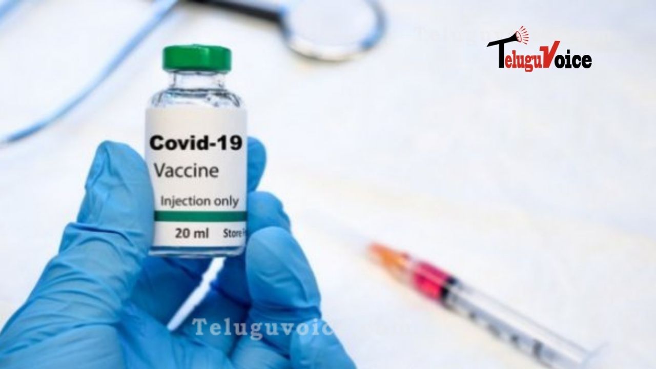 Covid Vaccine Only Possible By 2022 While Serum Institute Claims It By January 2021 teluguvoice