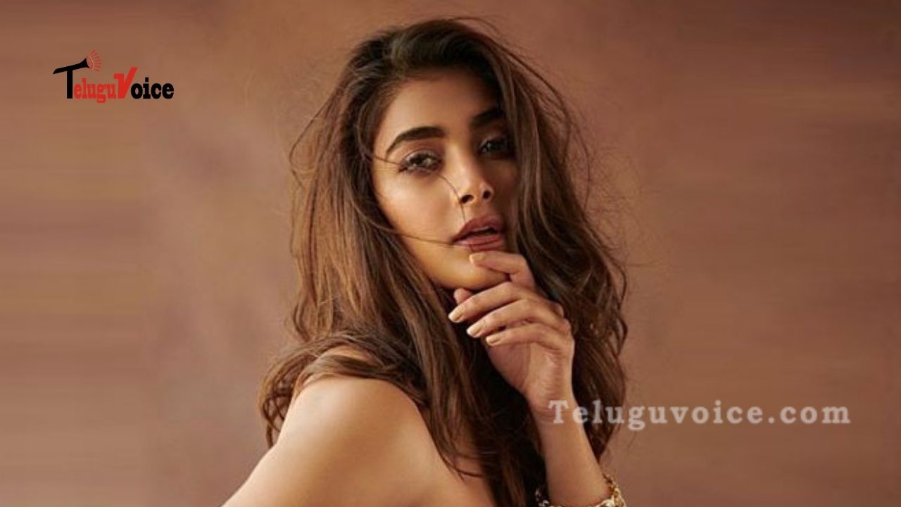 Telugu Film Industry Is My Life: Pooja Hegde Clarifies Her Recent Statements