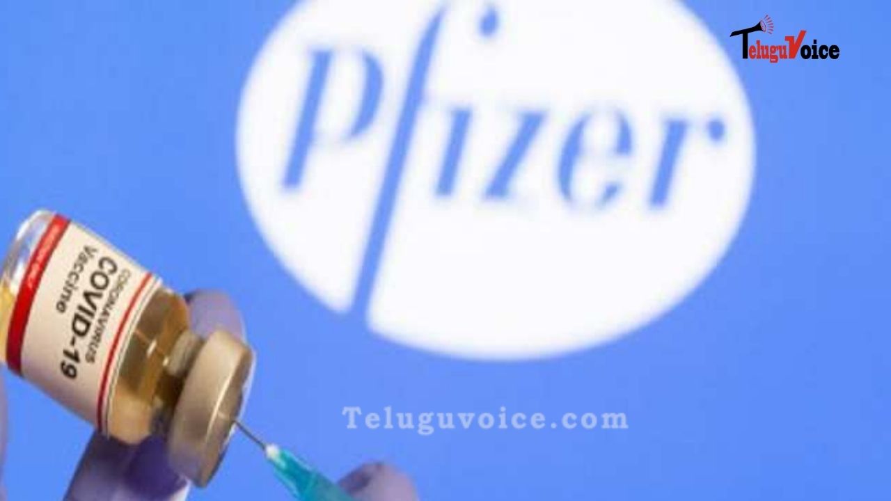 Government Plans To Deliver Pfizer In India But It Could Be Difficult teluguvoice