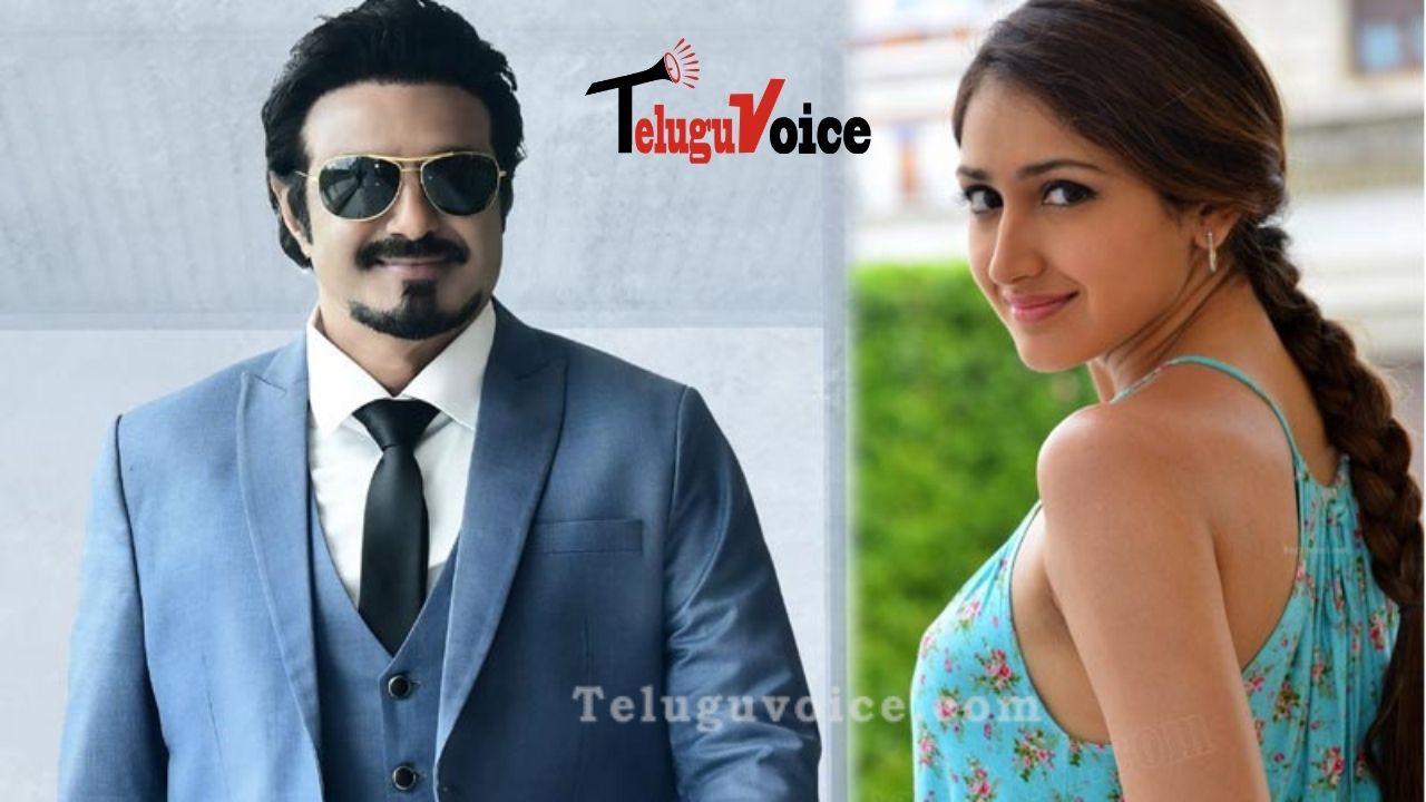 Sayyeshaa Saigal’s role in Balakrishna’s Film Revealed!