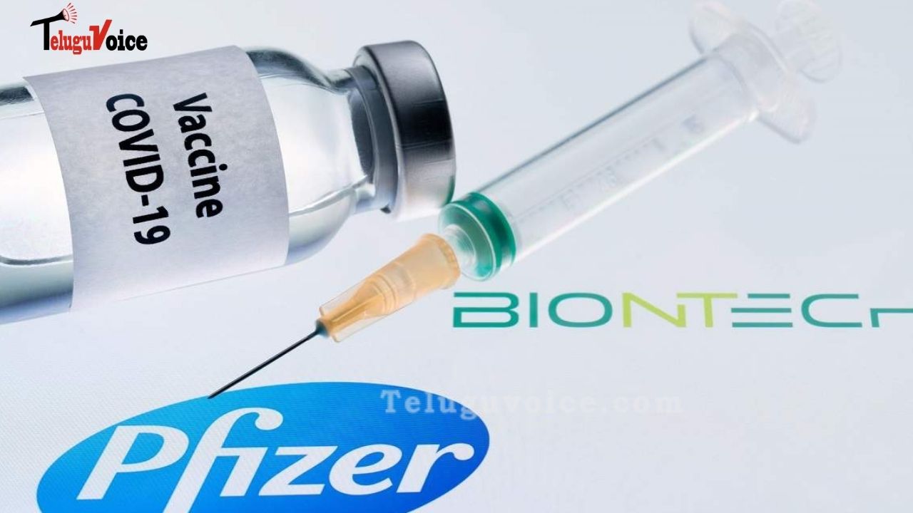 UK Approves Pfizer’s Covid Vaccine, First In The World teluguvoice