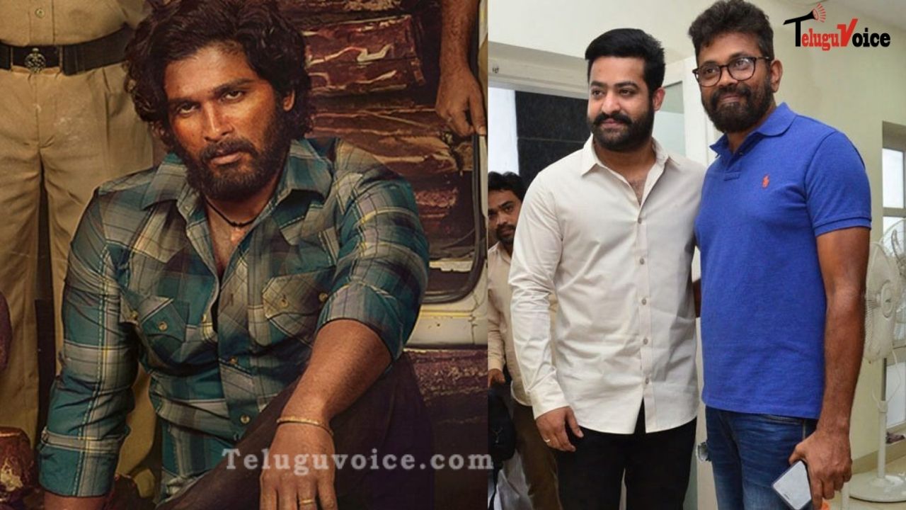 Jr.NTR Inspires Pushpa?