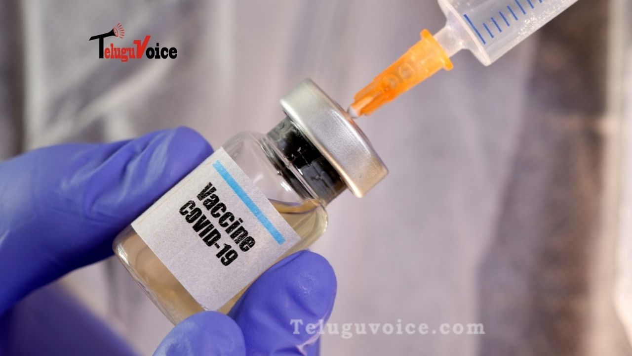 Serum Institute, Bharat Biotech Vaccines Not Cleared For Emergency Use teluguvoice