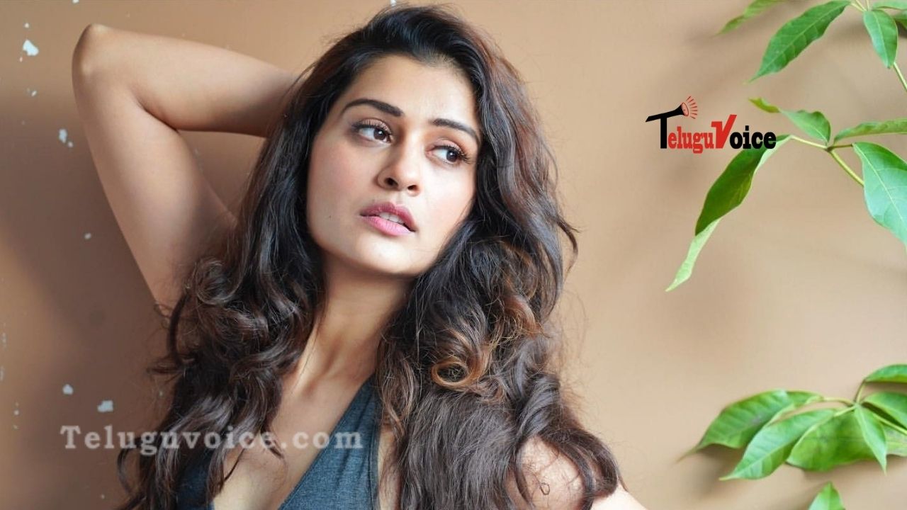 Payal Rajut To Shake Her Leg For Special Number