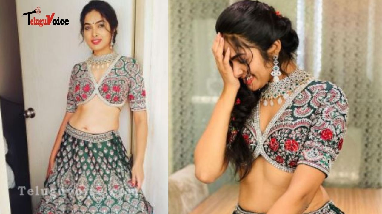 Bigg Boss 4 Contestant Divi Is Killing With Her Backless Costume teluguvoice