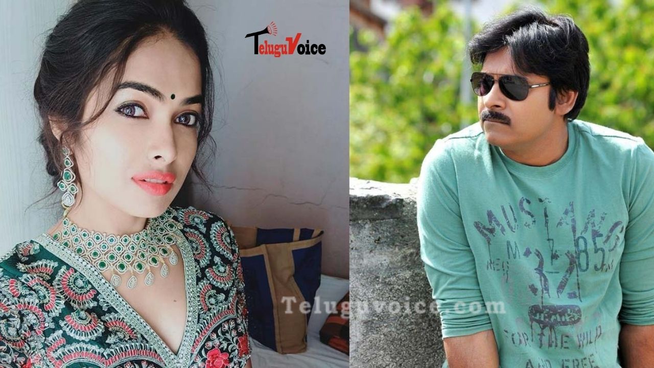 Bigg Boss Lady Divi Grabs A Jackpot