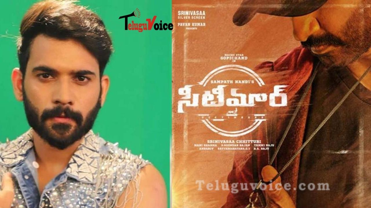 Bigg Boss Contestant In Gopichand Seetimaar