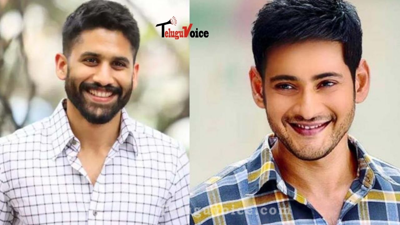 Naga Chaitanya As Mahesh Fan In Thank You!
