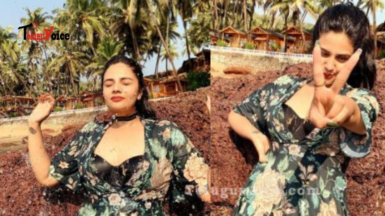 Sreemukhi Heats Up The Internet teluguvoice