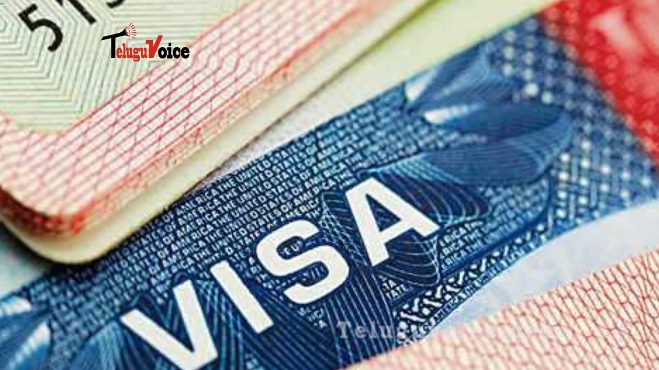 US Court Asks For Status Report On Visas To Family Members Of H1-B Visa Holders teluguvoice