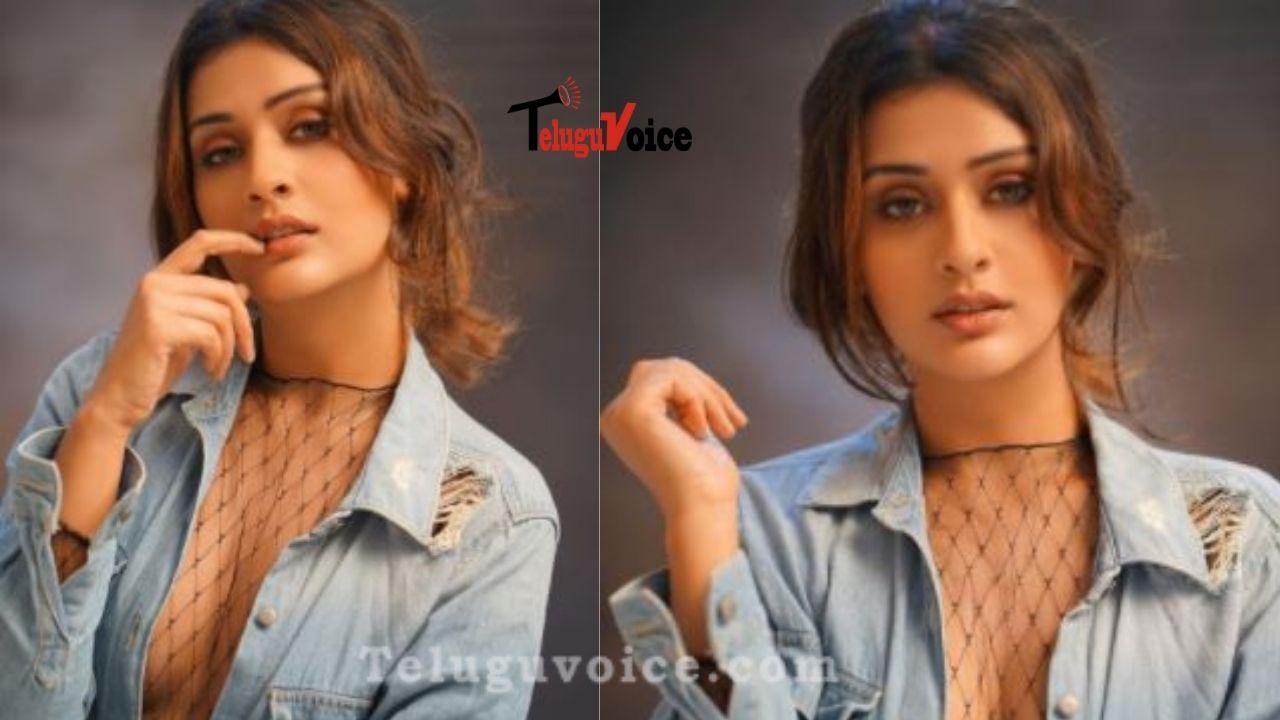 Payal Rajput Turns Up Heat With Her Attractive Images teluguvoice