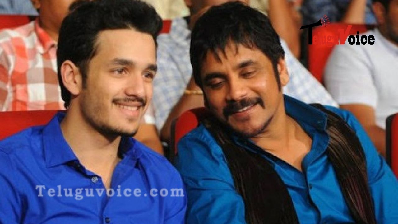 Akkineni Nagarjuna And Akhil In A Multi-Starrer On Cards?