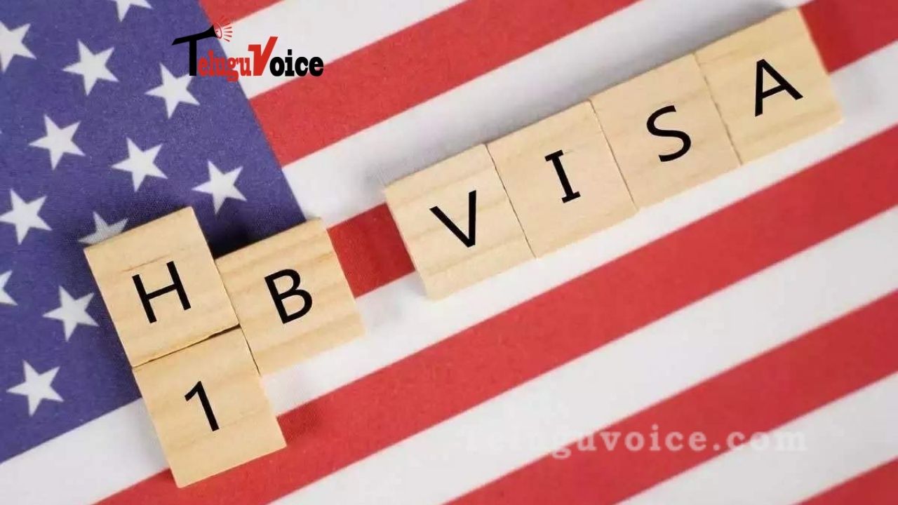 H-1B: U.S. completes initial H1-B electronic registration selection process teluguvoice