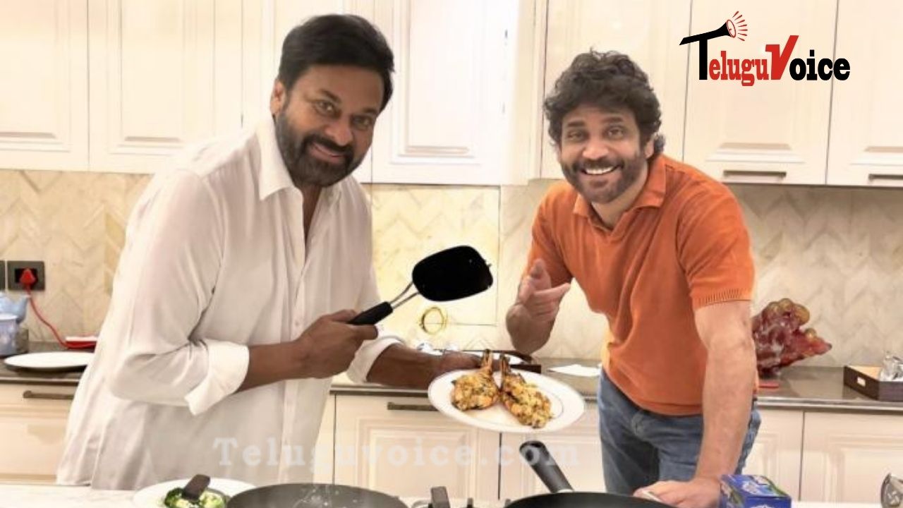Chiranjeevi And Nagarjuna Spending Quality Time
