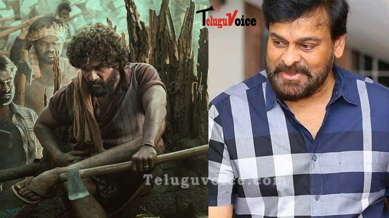 Megastar Praises Bunny And Pushpa