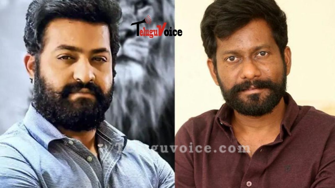 Jr NTR To Play Sportsman In This Film!
