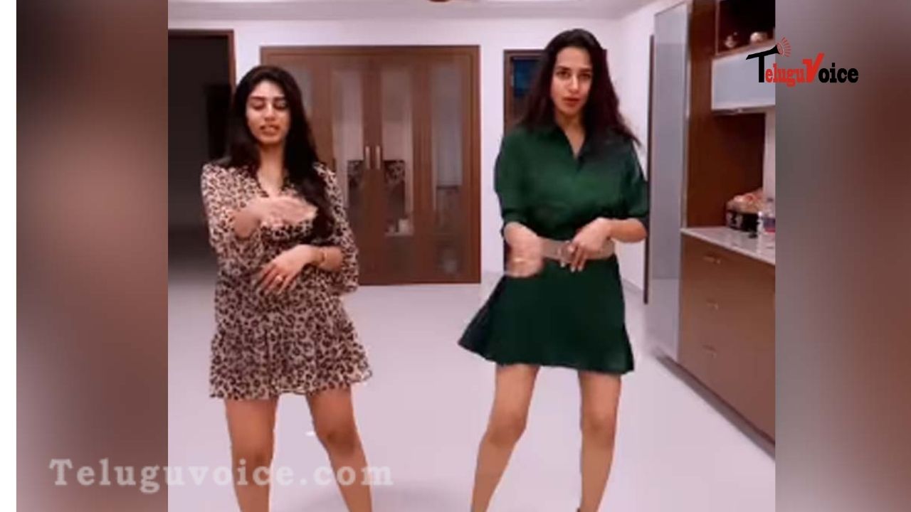 Popular Character Artist And Daughter Sizzling Dance