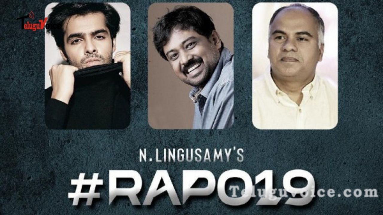 RAPO#19 Title Confirmed?