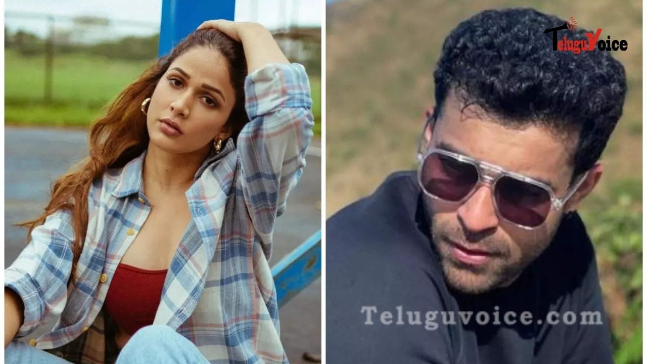Finally Lavanya Tripathi Responded To the Rumors