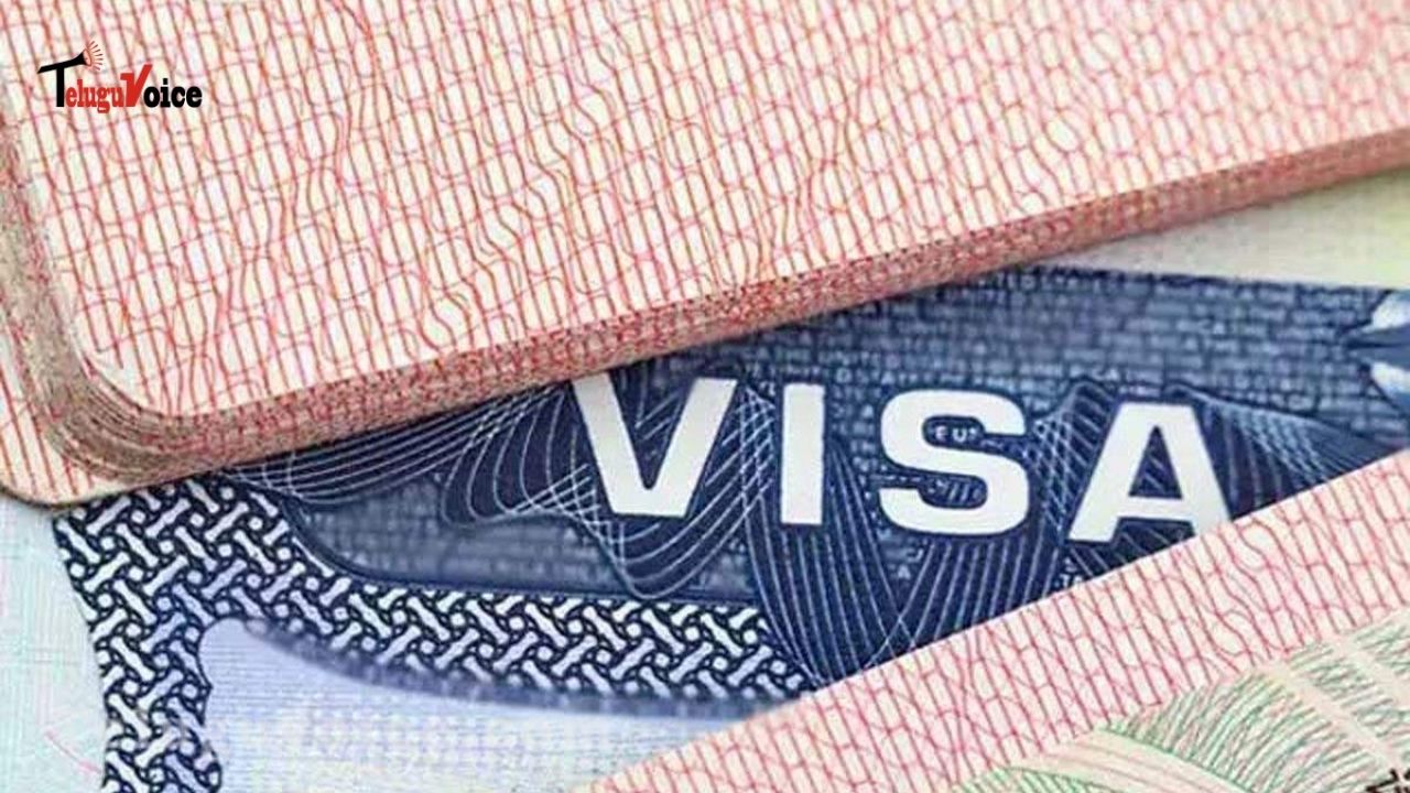 US Senate Introduces H-1B Visa Reform Bill Focused On Skill