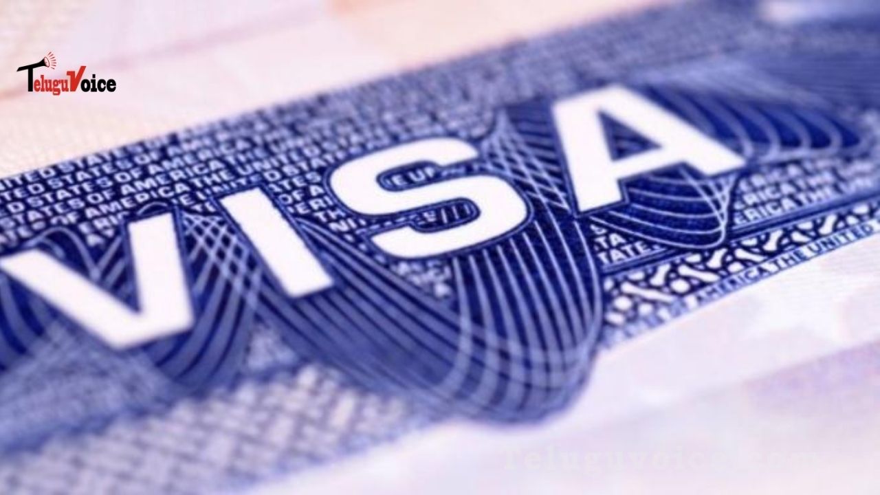 H1, H1b, L1, Investor Visa Issues teluguvoice