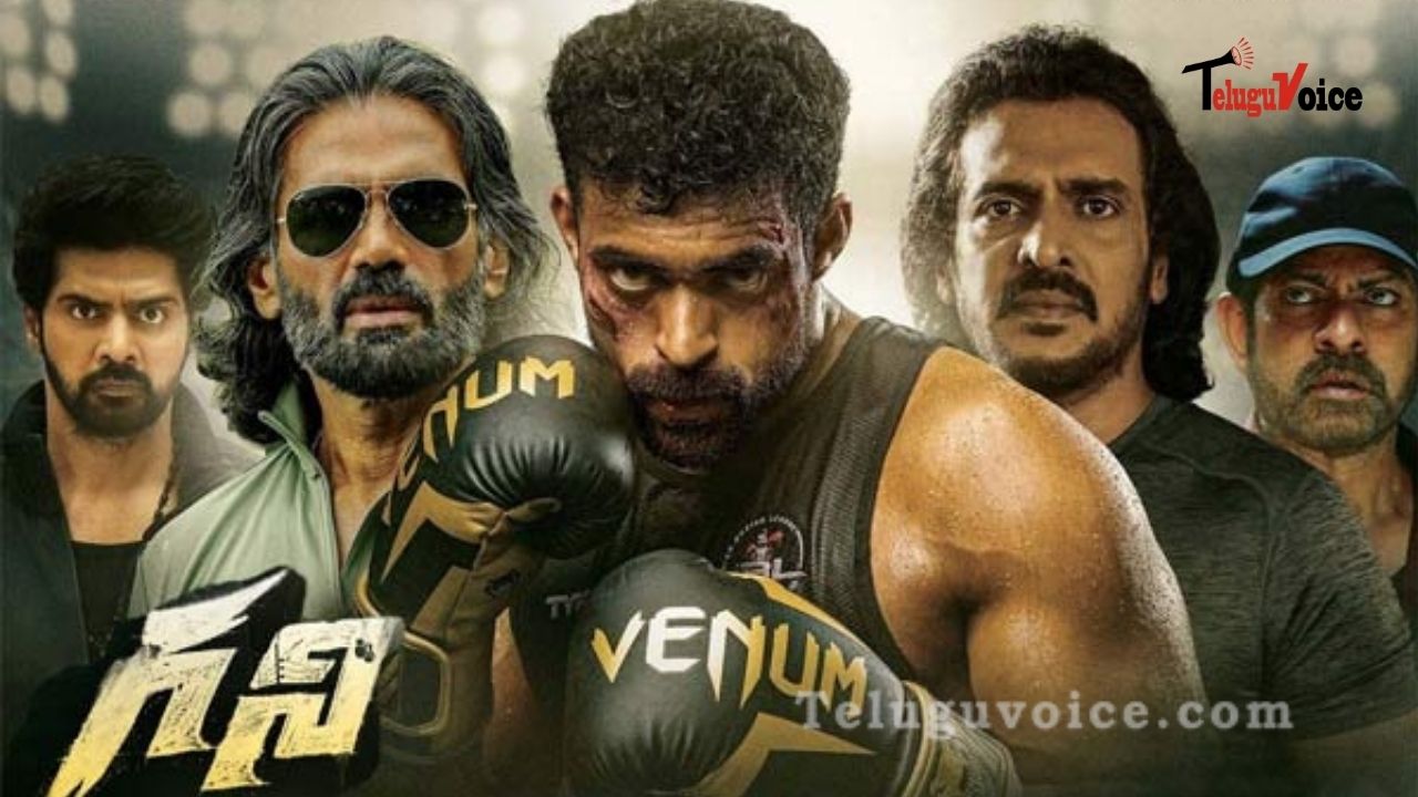 Ghani Movie Review