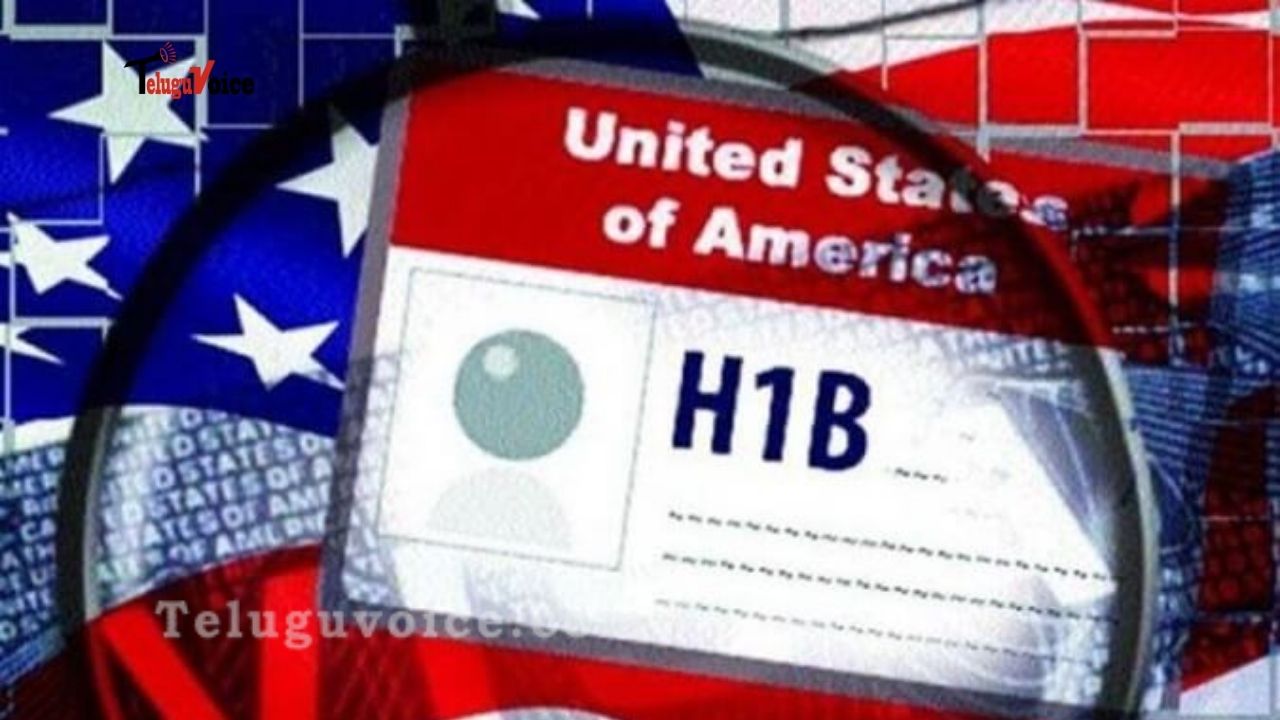 America's Bad Immigration Law And The H-1B Visa Lottery teluguvoice