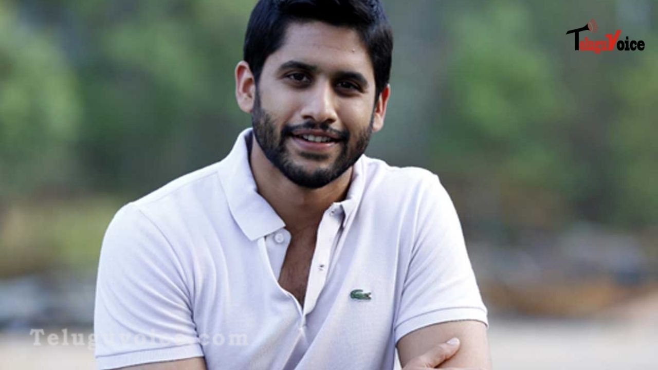 Naga Chaitanya And Agent Actress To Share The Screen Space