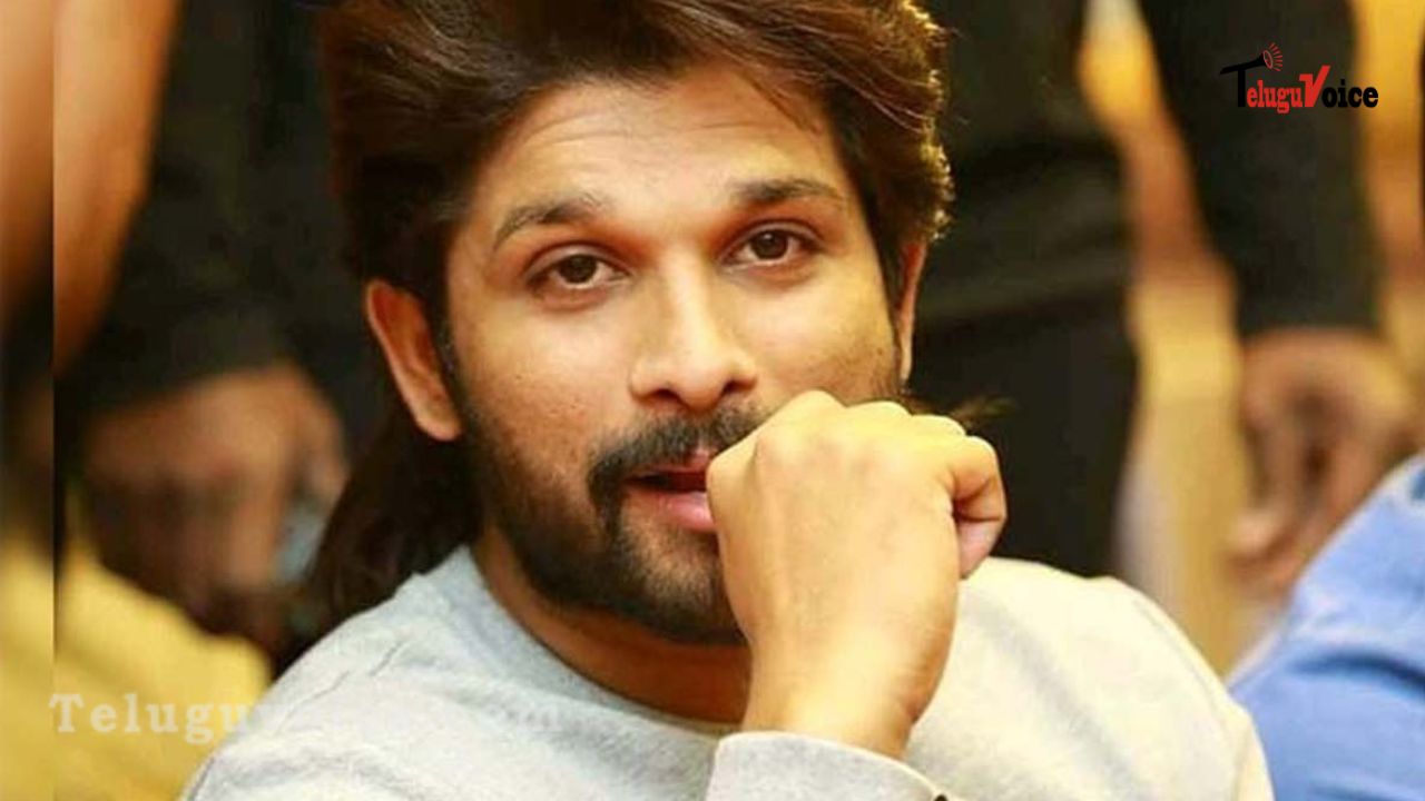 Allu Arjun watches F3 in theater
