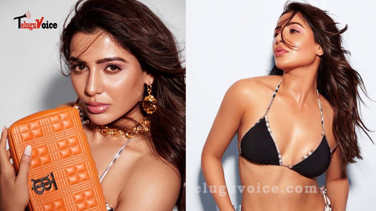 Sam Tries To Tempt With Her Latest Photoshoot teluguvoice