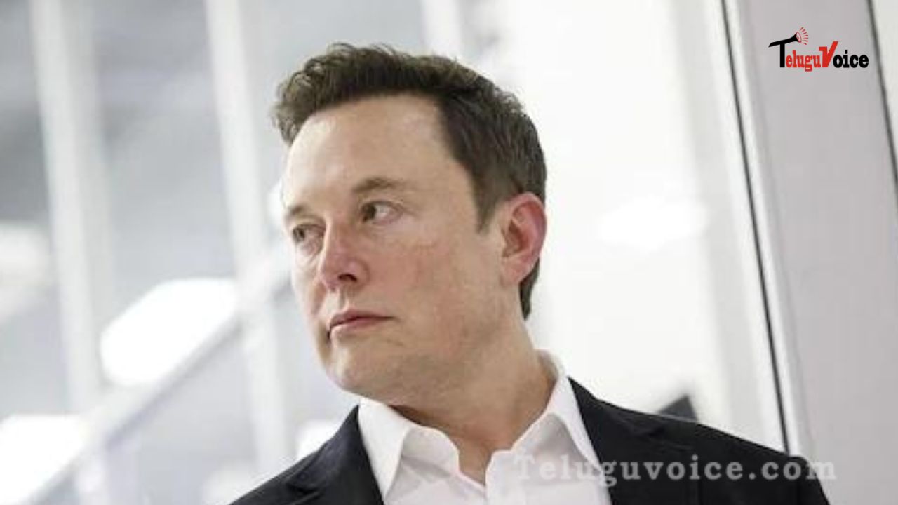 Elon Musk Hints Layoffs In Twitter  teluguvoice