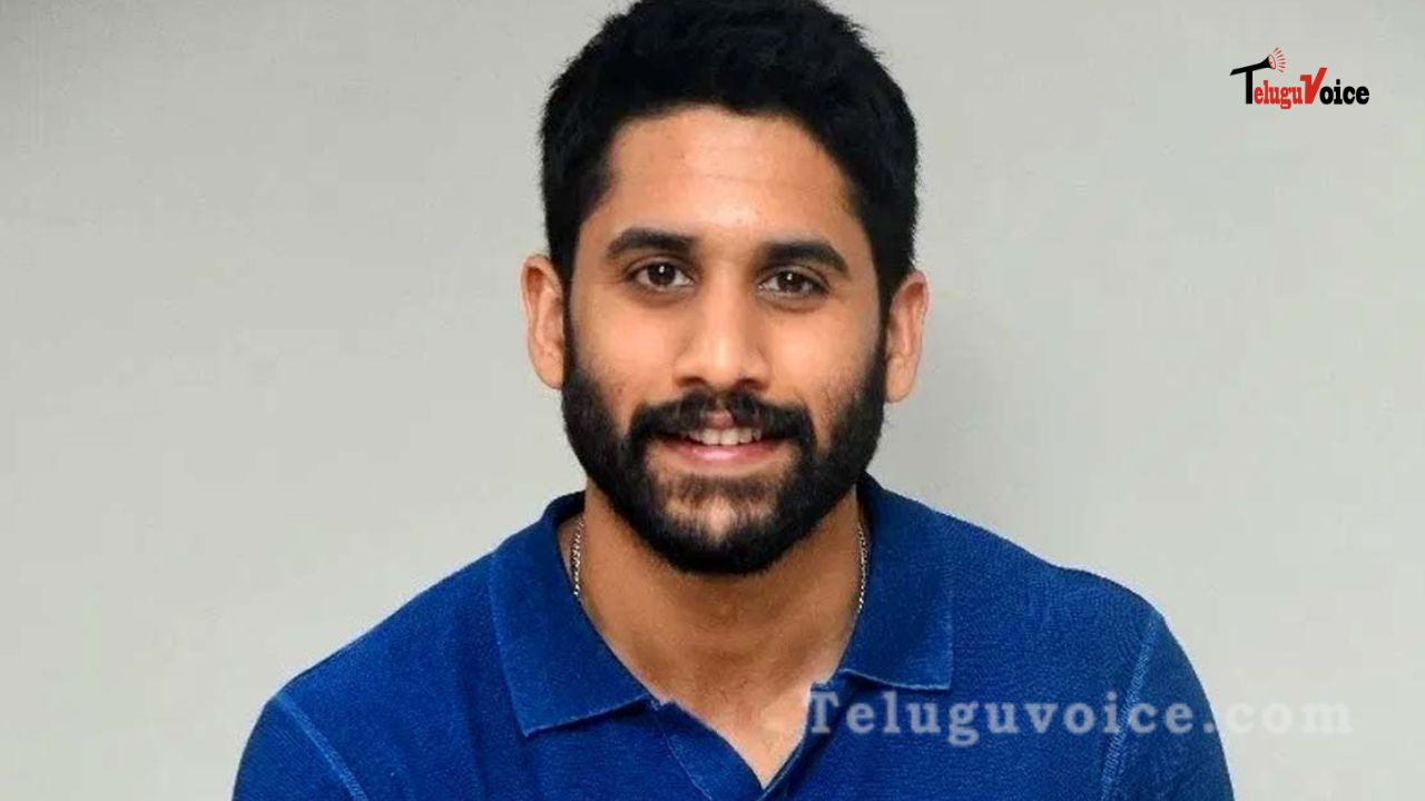 Naga Chaitanya Views About Relationships And Break-Ups teluguvoice