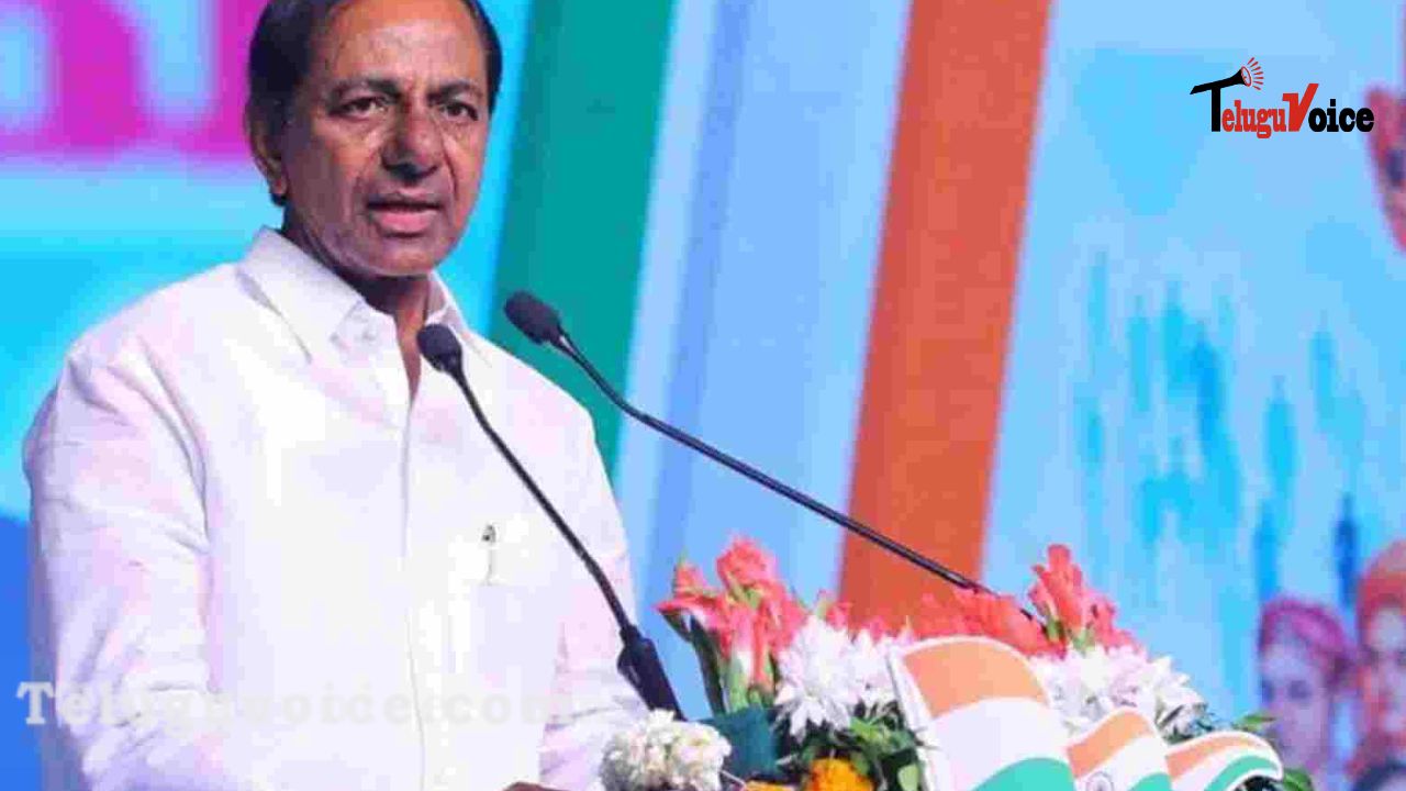 No Compromise On Law: CM KCR teluguvoice