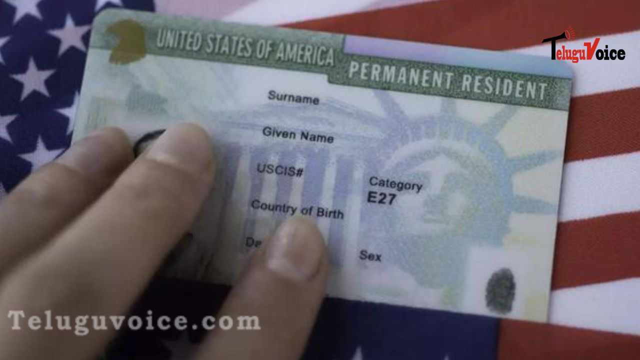 US: Indians Lining Up For New Visa Scheme That Grants Green Card! teluguvoice