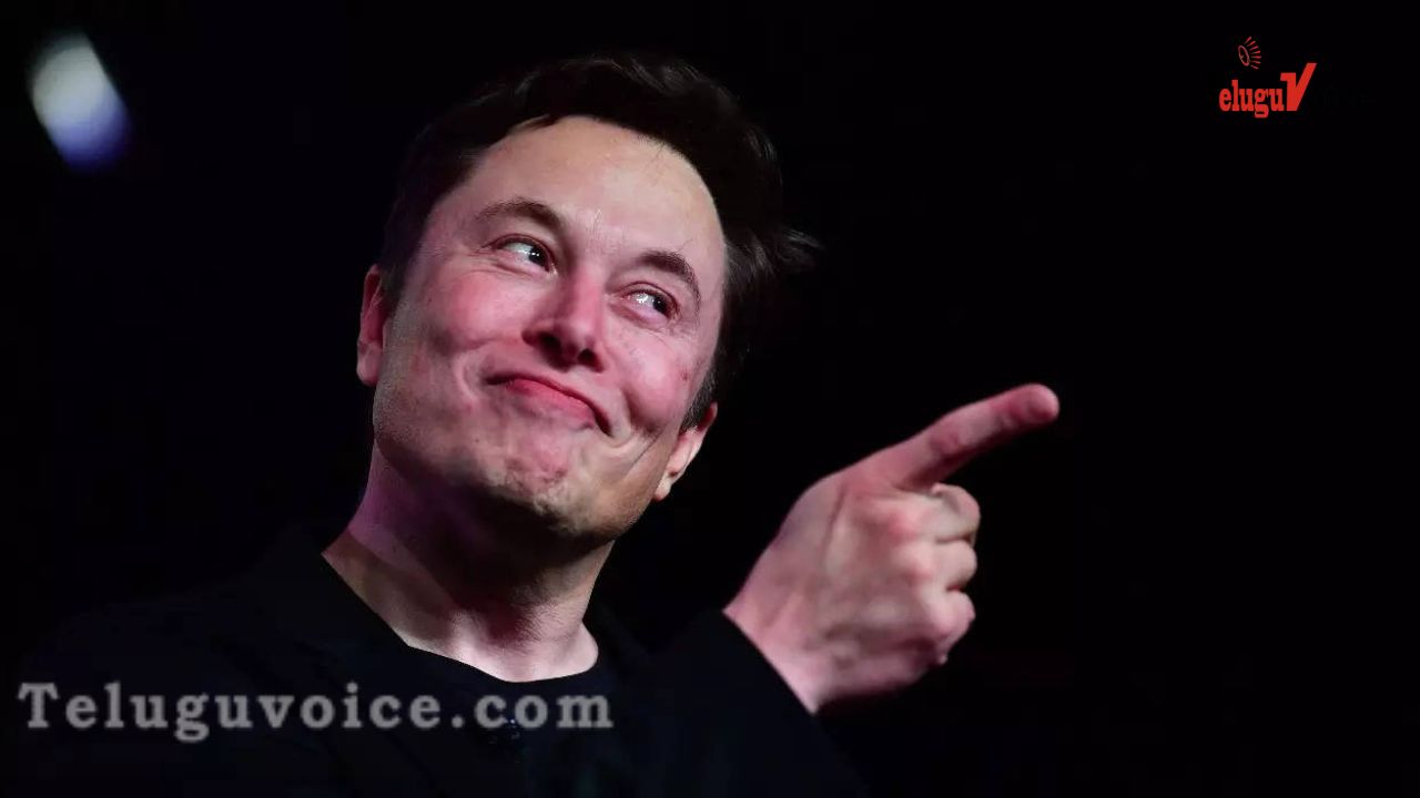 Tesla CEO Slashes Twitter's Workforce To Half. teluguvoice