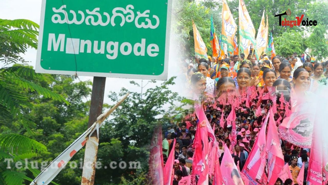 Manugode Exit Poll! teluguvoice