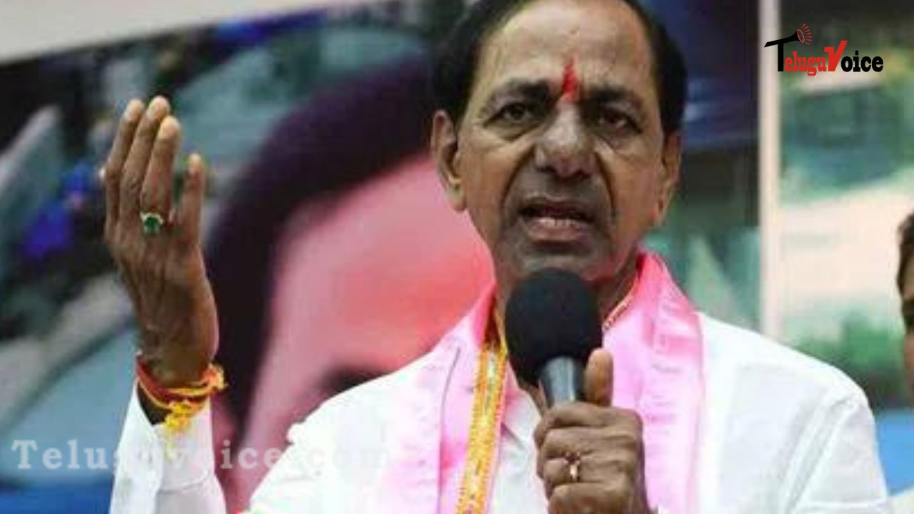 KCR To Campaign In Gujarat, Himachal Pradesh Assembly Elections teluguvoice