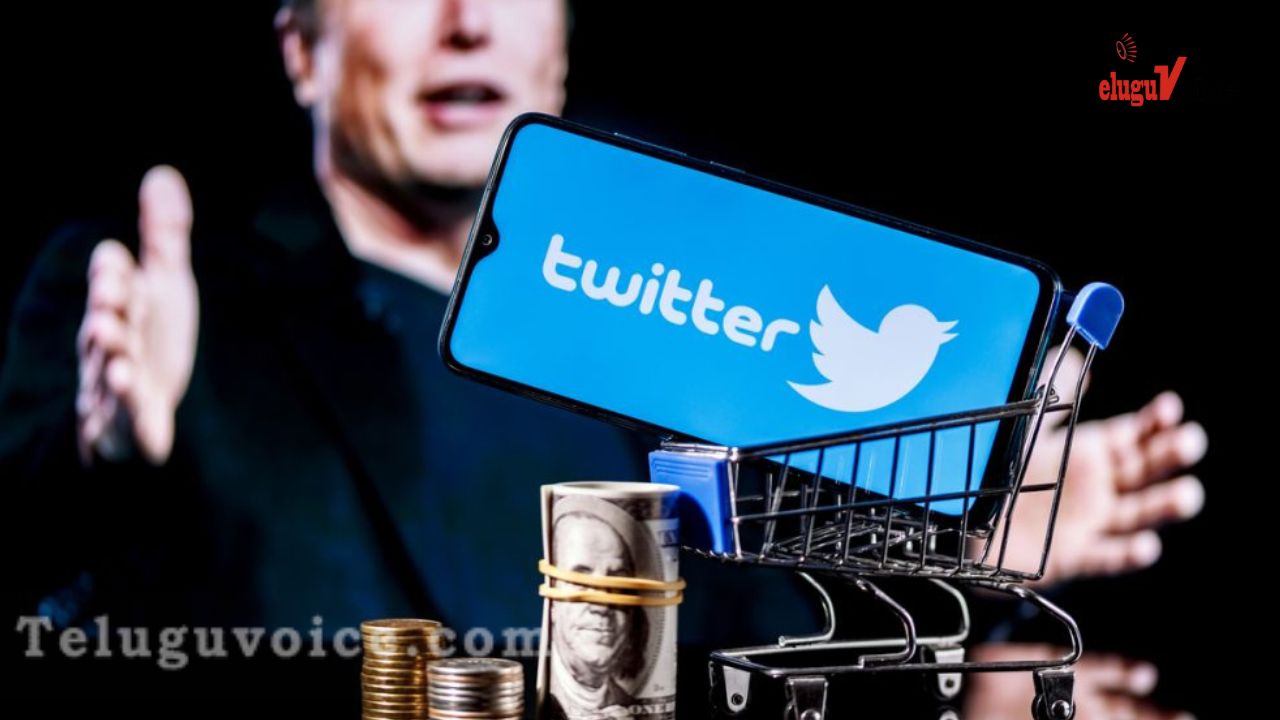 Twitter Users Will Now Make Digital Payments teluguvoice