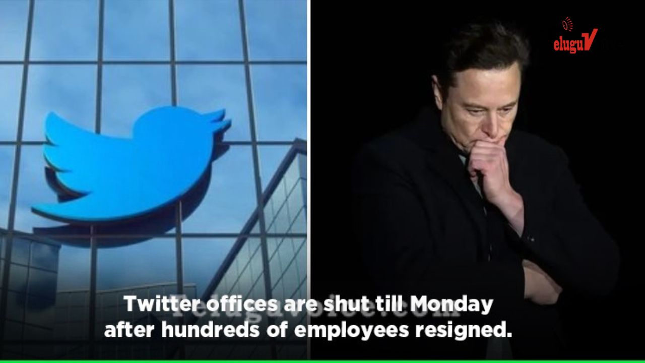 Twitter Offices ‘Temporarily Shut’, Employees Give Mass Resignations teluguvoice