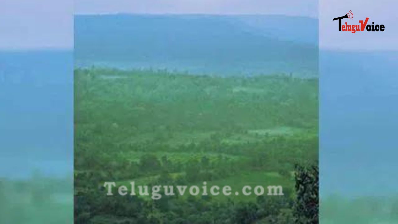 Telangana: Record Rise In Green Cover teluguvoice