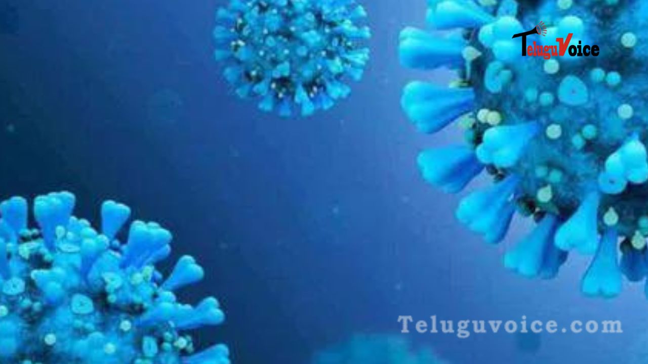 Telangana reports 3 cases of ‘Kraken.’ teluguvoice