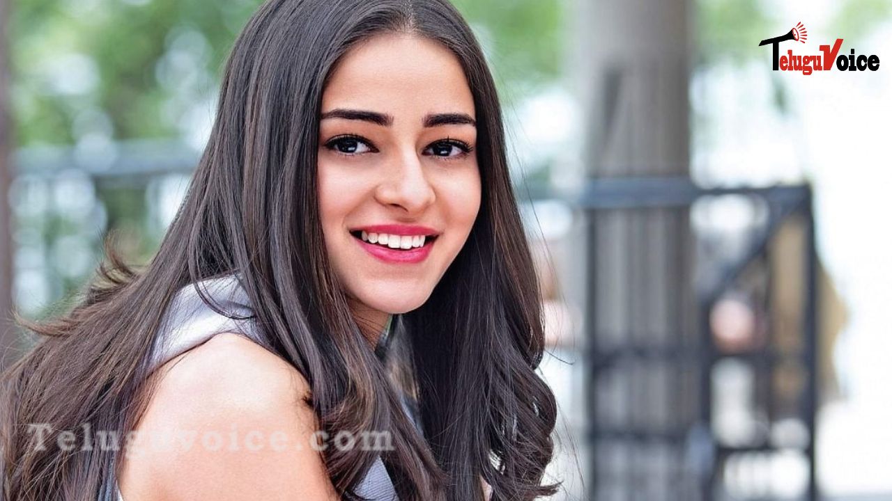 The Tollywood dreams of Ananya Pandey were Failed! teluguvoice