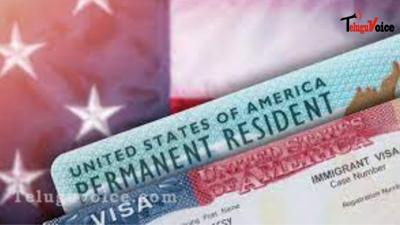 Indians will get over a million US visas this year: teluguvoice