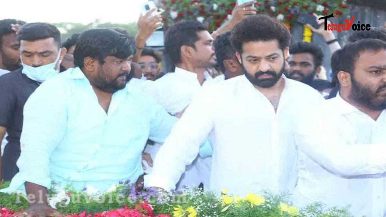 Balakrishna Junior NTR pays respect to NT Ramarao on the birthday of NTR. teluguvoice